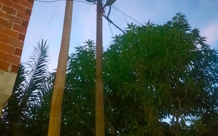 MORADORES DO BAIRRO 11 DE NOVEMBRO ACUSAM ADMINISTRAÇÃO DO CAMAMA DE ABANDONO E COBRAM RESPOSTAS À ADMINISTRADORA MUNICIPAL APÓS 21 DIAS SEM ENERGIA