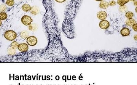 OMS PROCURA MAIS DE 80 PASSAGEIROS APÓS CASO HANTAVÍRUS EM VOO INTERNACIONAL